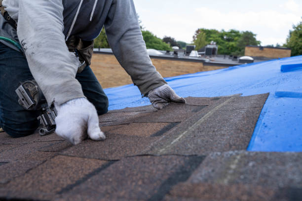 Professional Roofing Contractor in Alpha, NJ